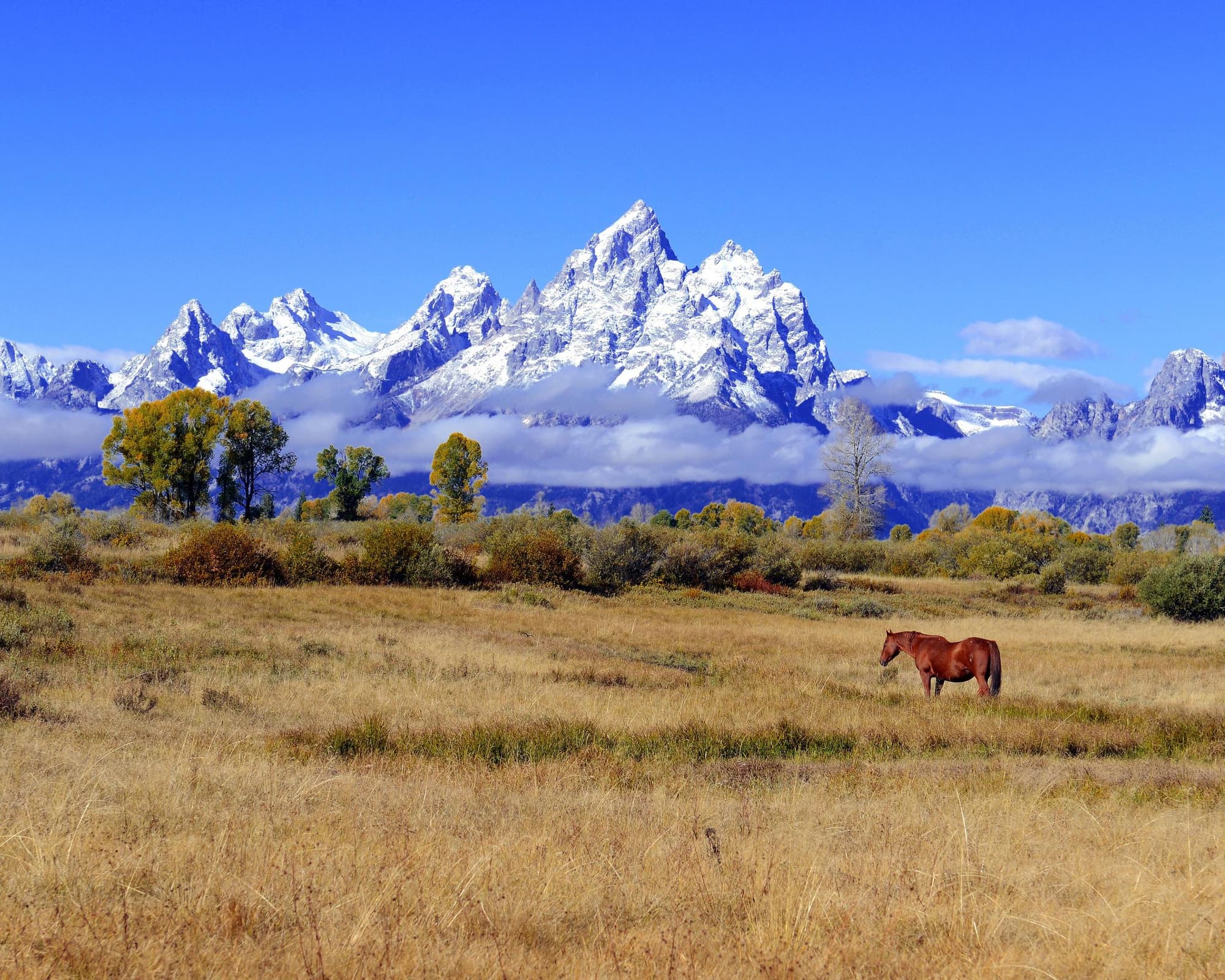 Ruta de los Grandes Parques con Parques del Sur