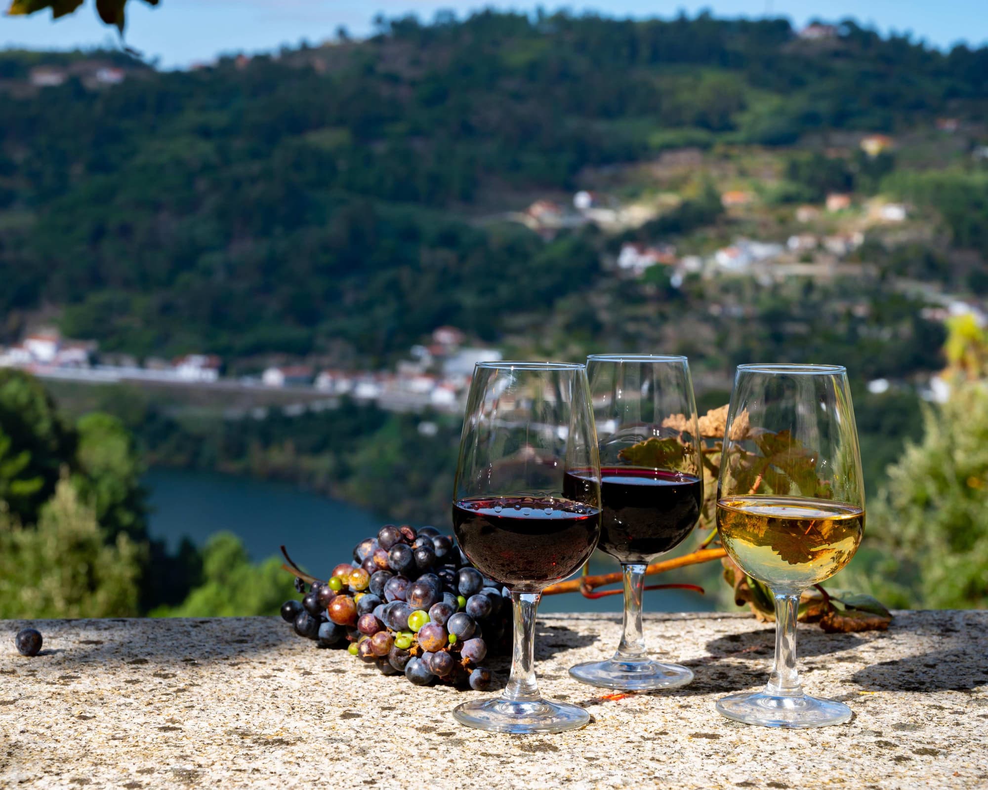 Charming Douro Valley (4 days program)
