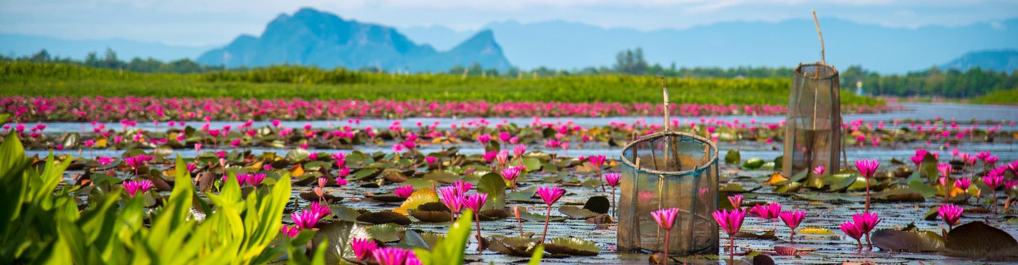 Provincia de Phatthalung, Tailandia