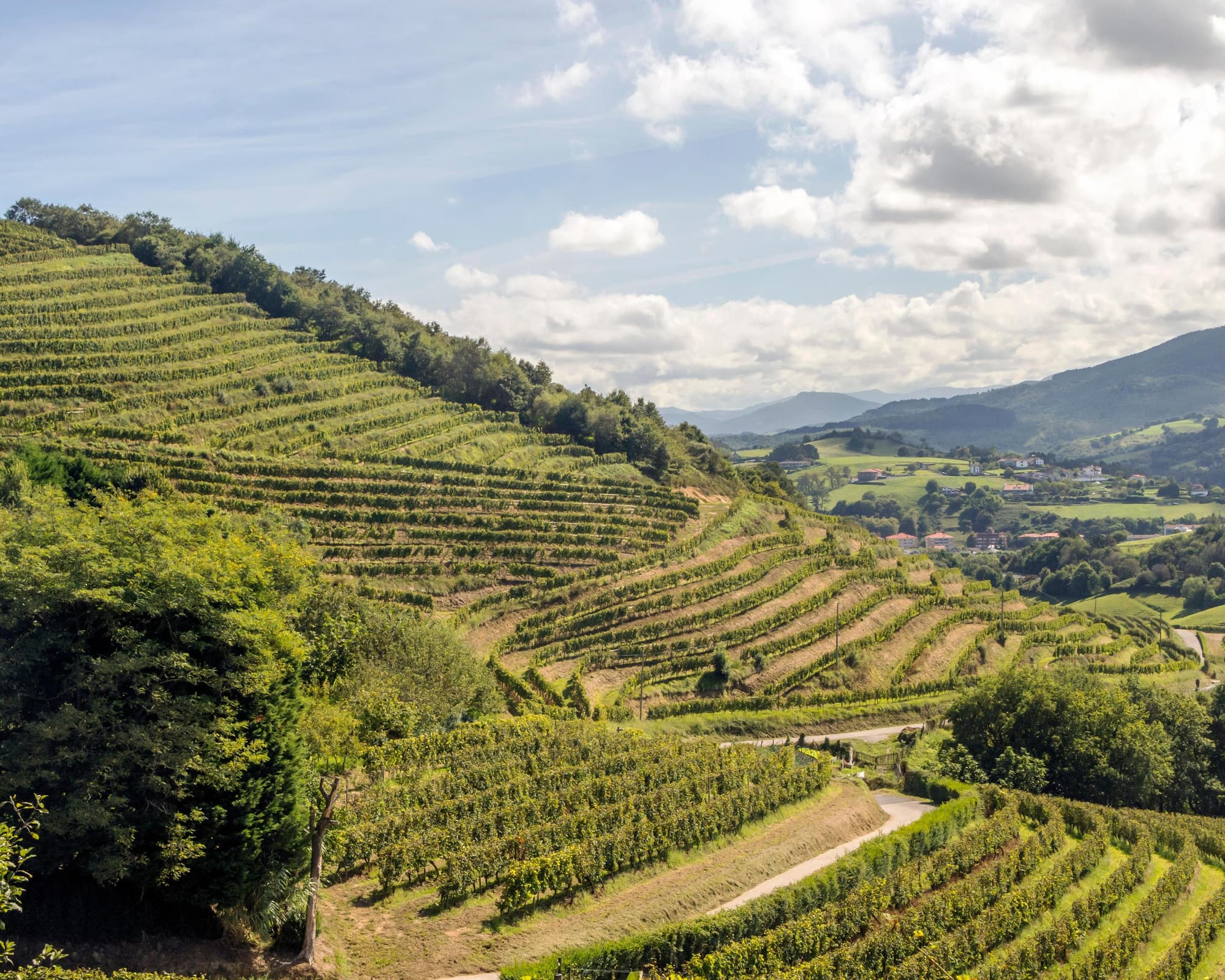 Lr - La Rioja Y Navarra, Tierras De Vino