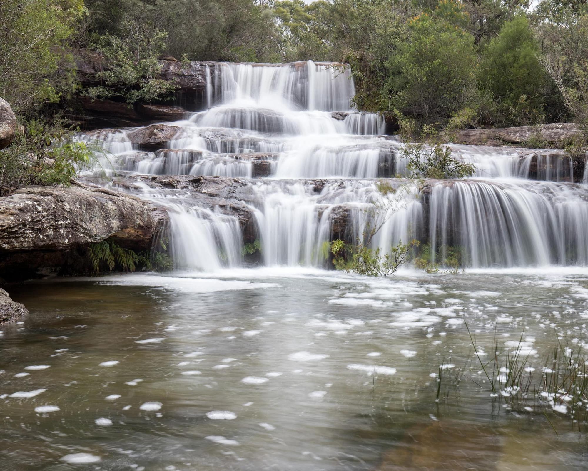 Royal national park, Australia