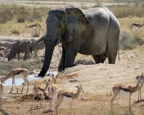 East Africa & Zanzibar Overland Safari & Participation Camping