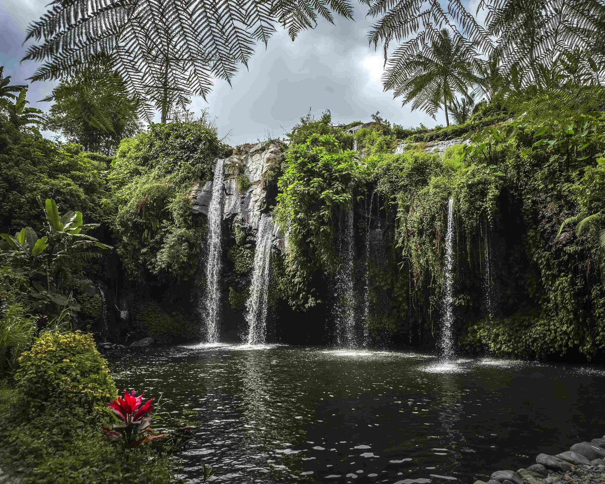 Kalibaru, Indonesien