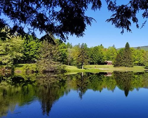 New England