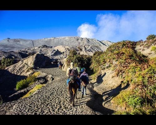 Descubriendo Java y Bali