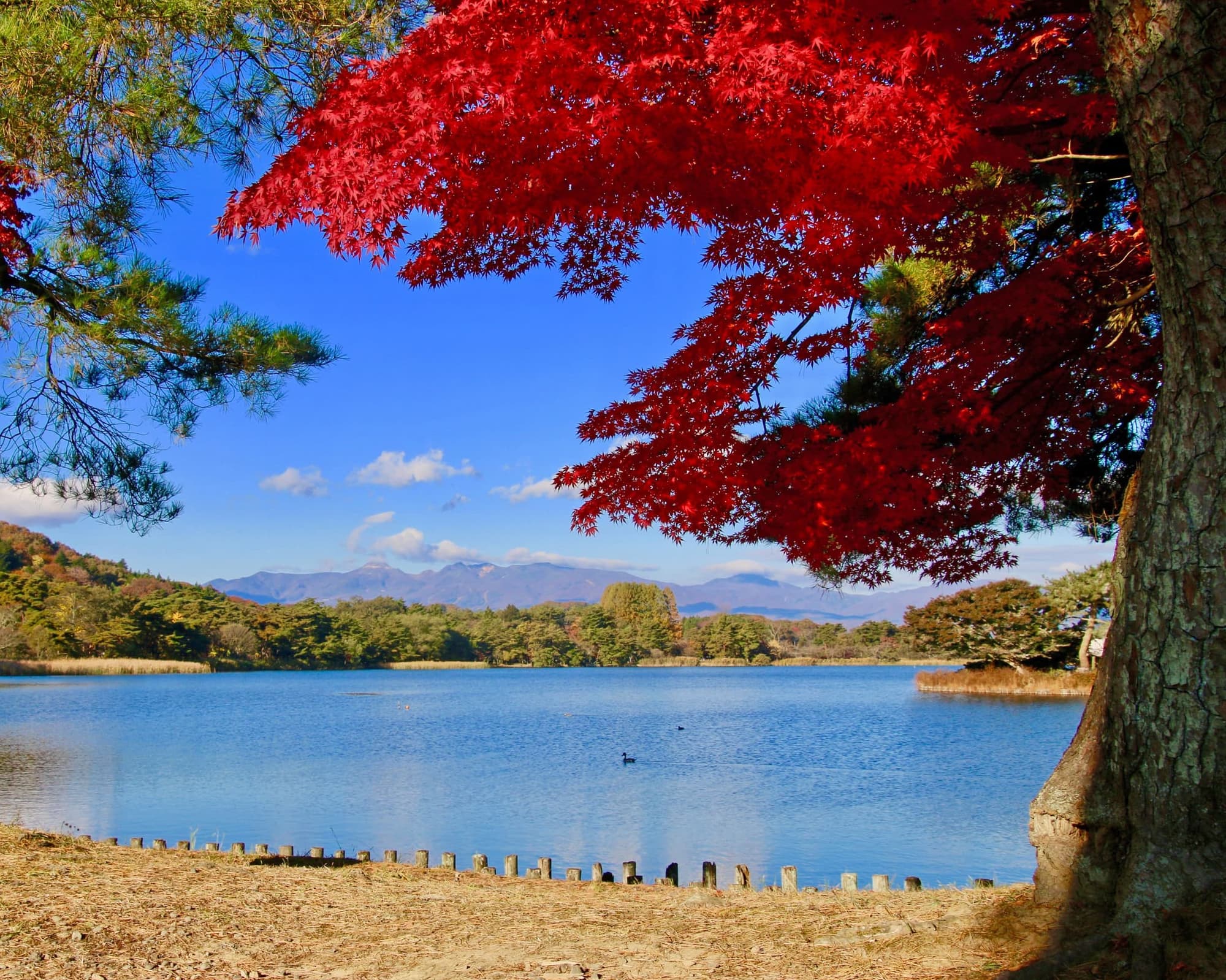 Shirakawa, Fukushima, Japón