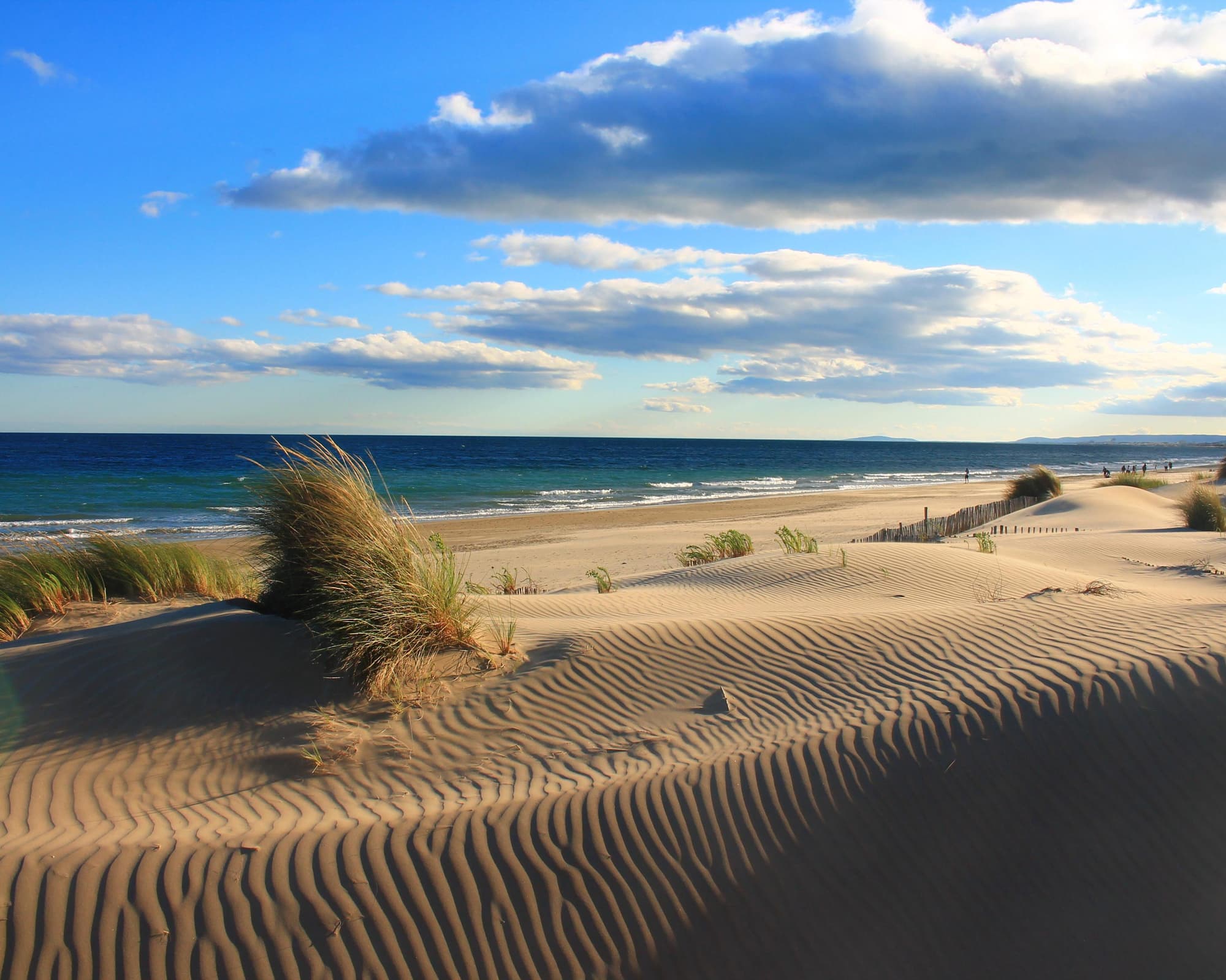 Camargue, France
