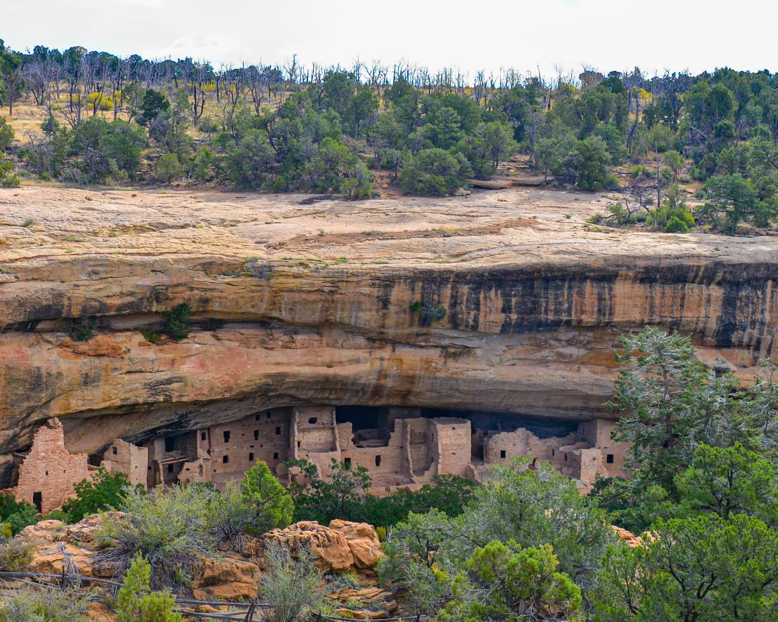 Ruta de los Grandes Parques con Parques del Sur