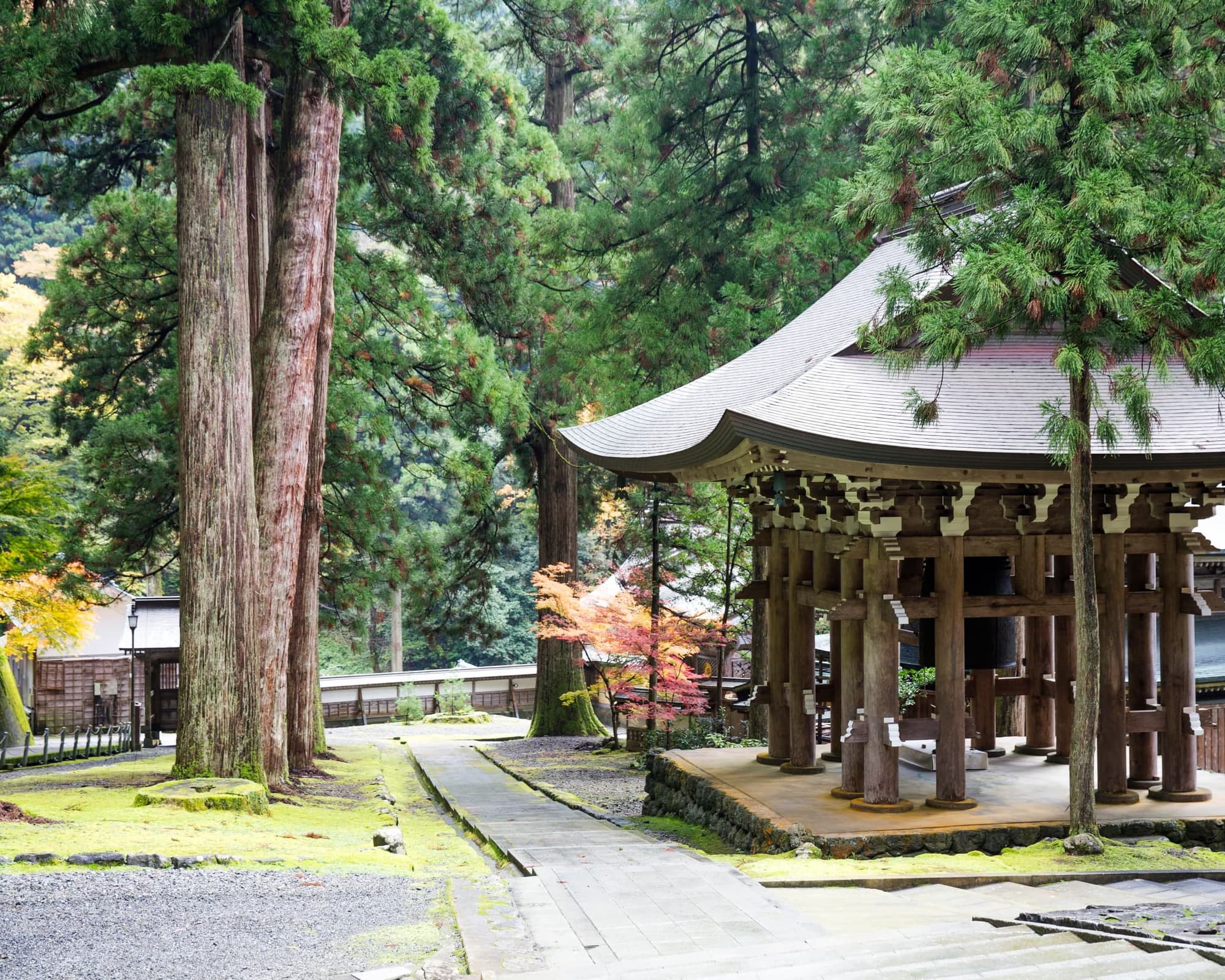 Fukui, Japonska