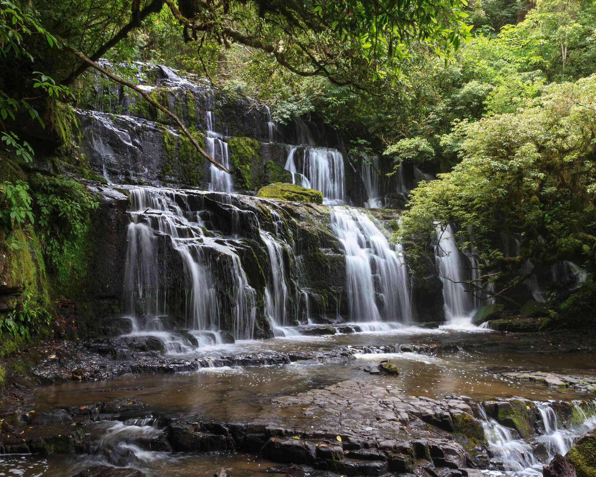 Catlins, Nueva Zelanda