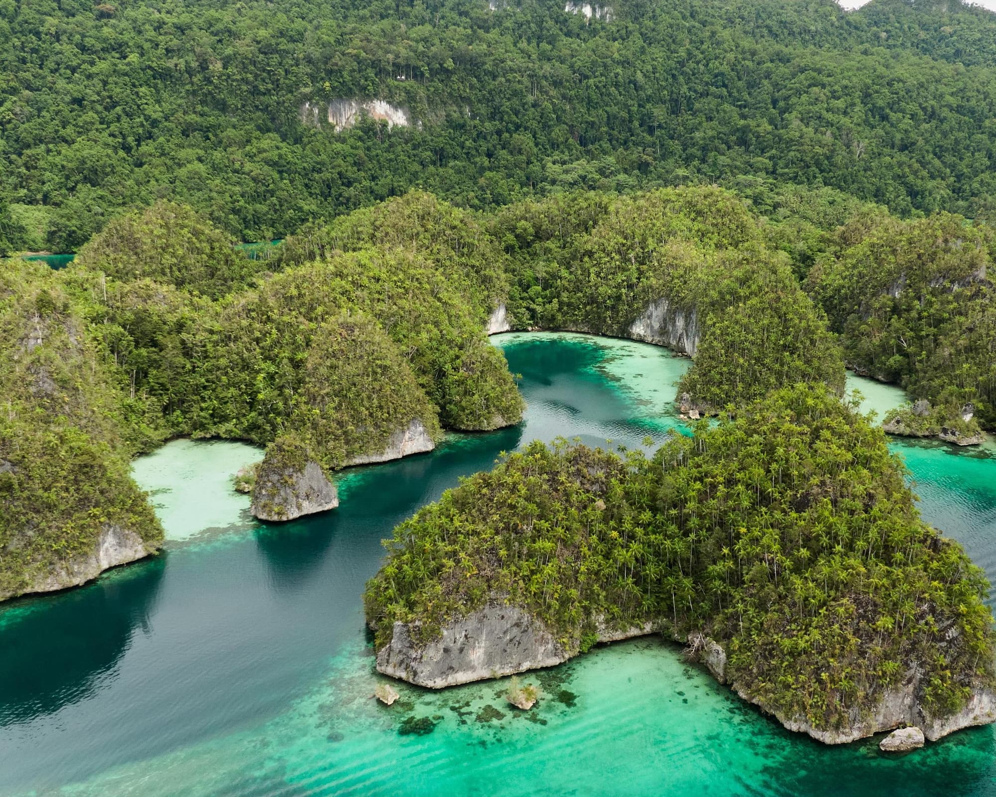 Bahía Tritón, Indonesia
