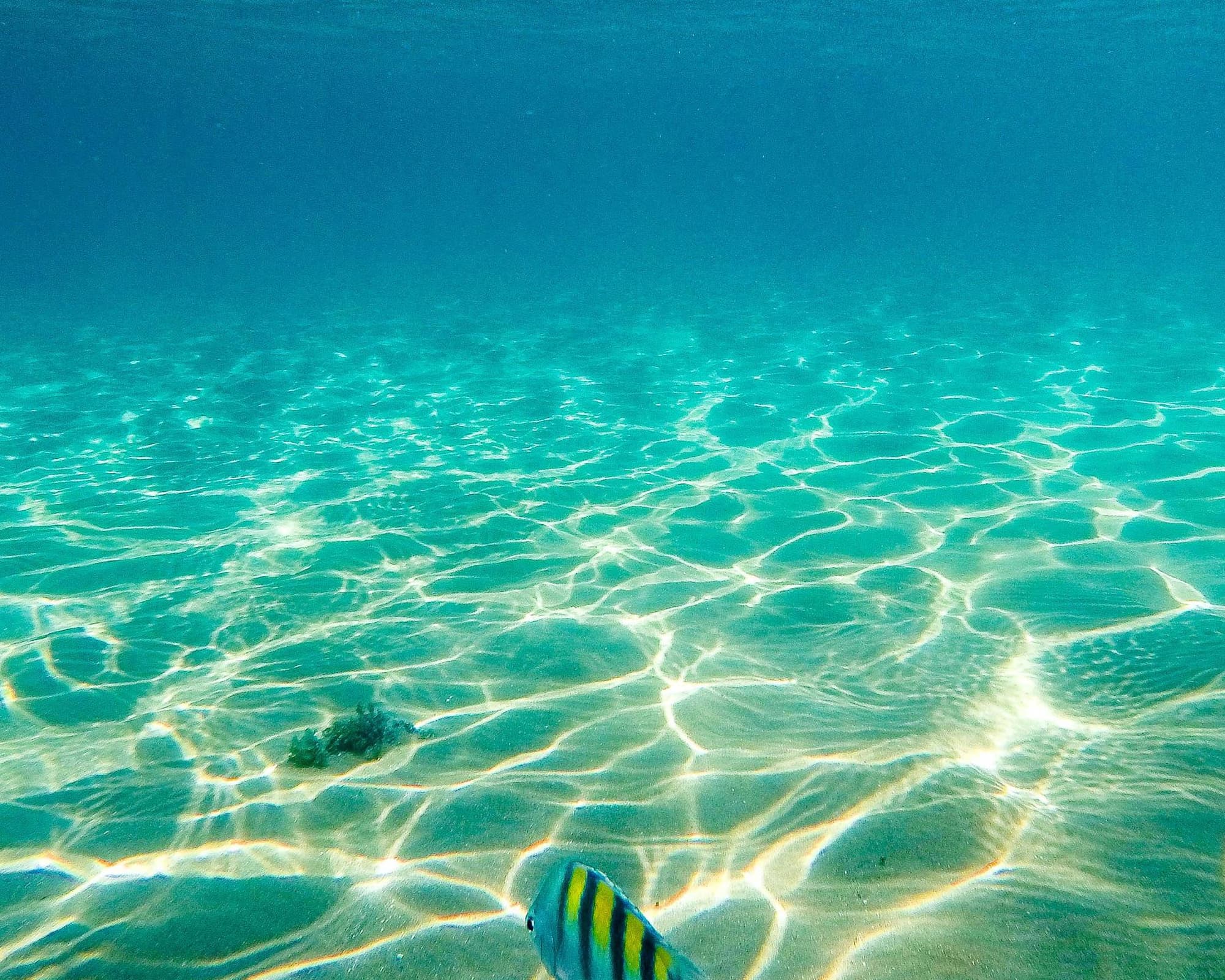 Marau, Brasil