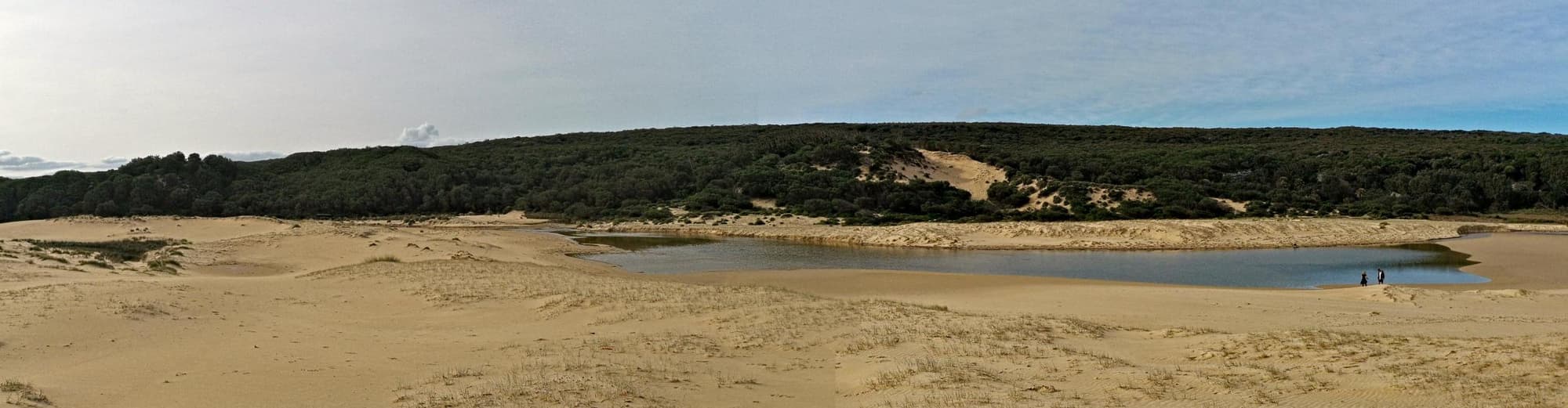 Royal national park, Australia