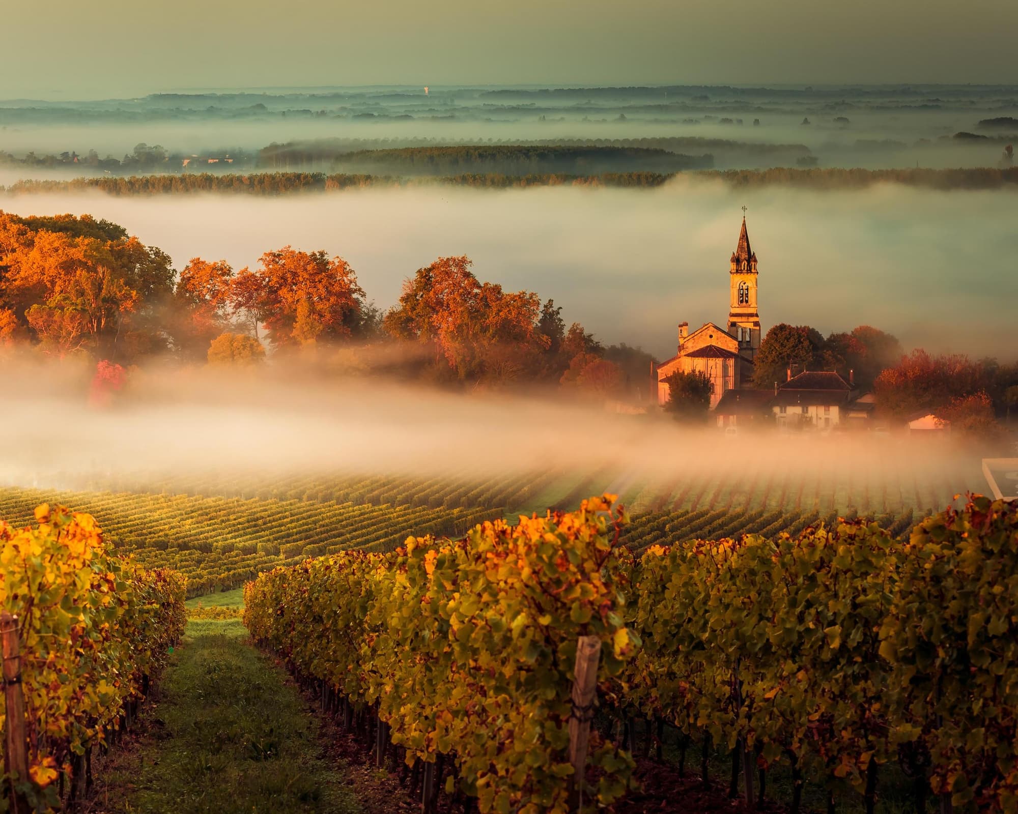 VIVIENDO EUROPA 18 CVU