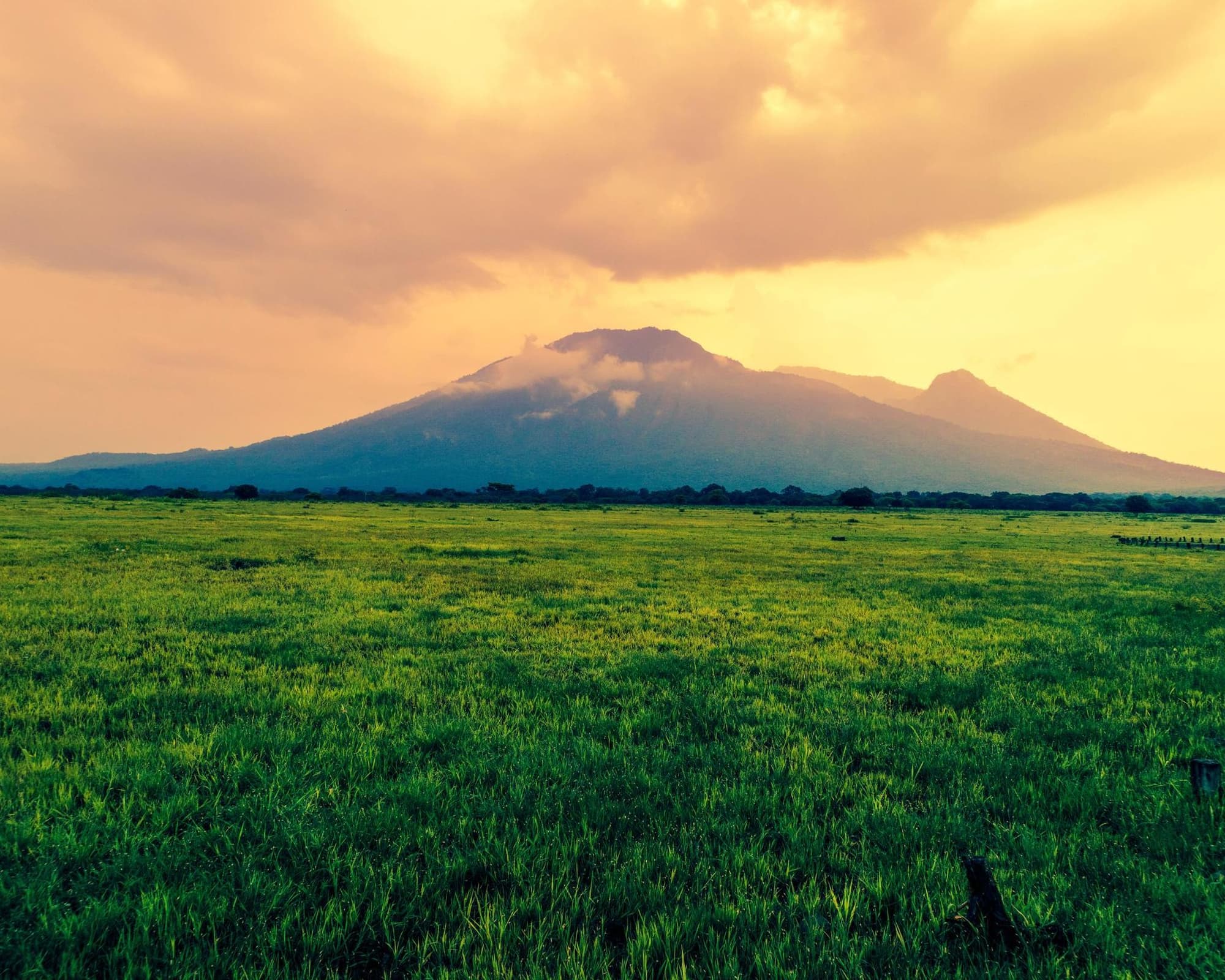 Java et Bali, terres de contraste