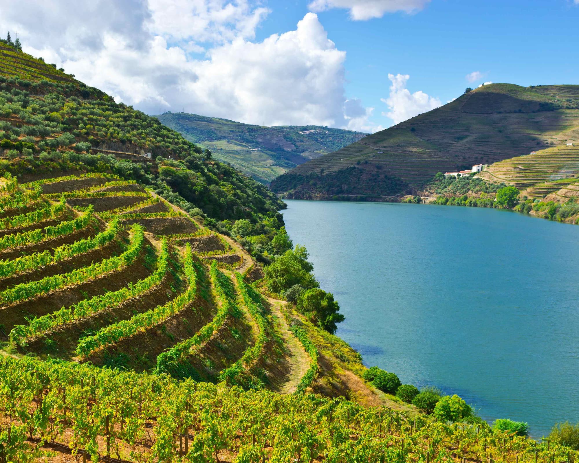 Charming Douro Valley (4 days program)