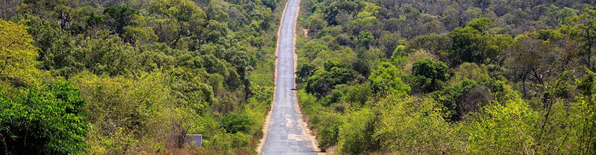 Zombitse-Vohibasia National Park, Madagascar