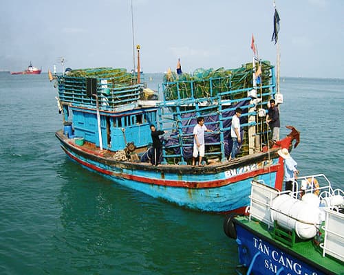 Richesse du Vietnam et extension Ho Tram (Italian Market)