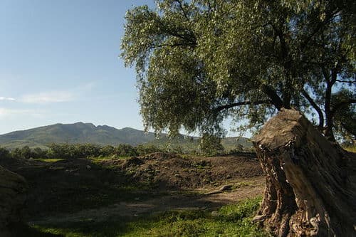 Tepotzotlan, Mexiko