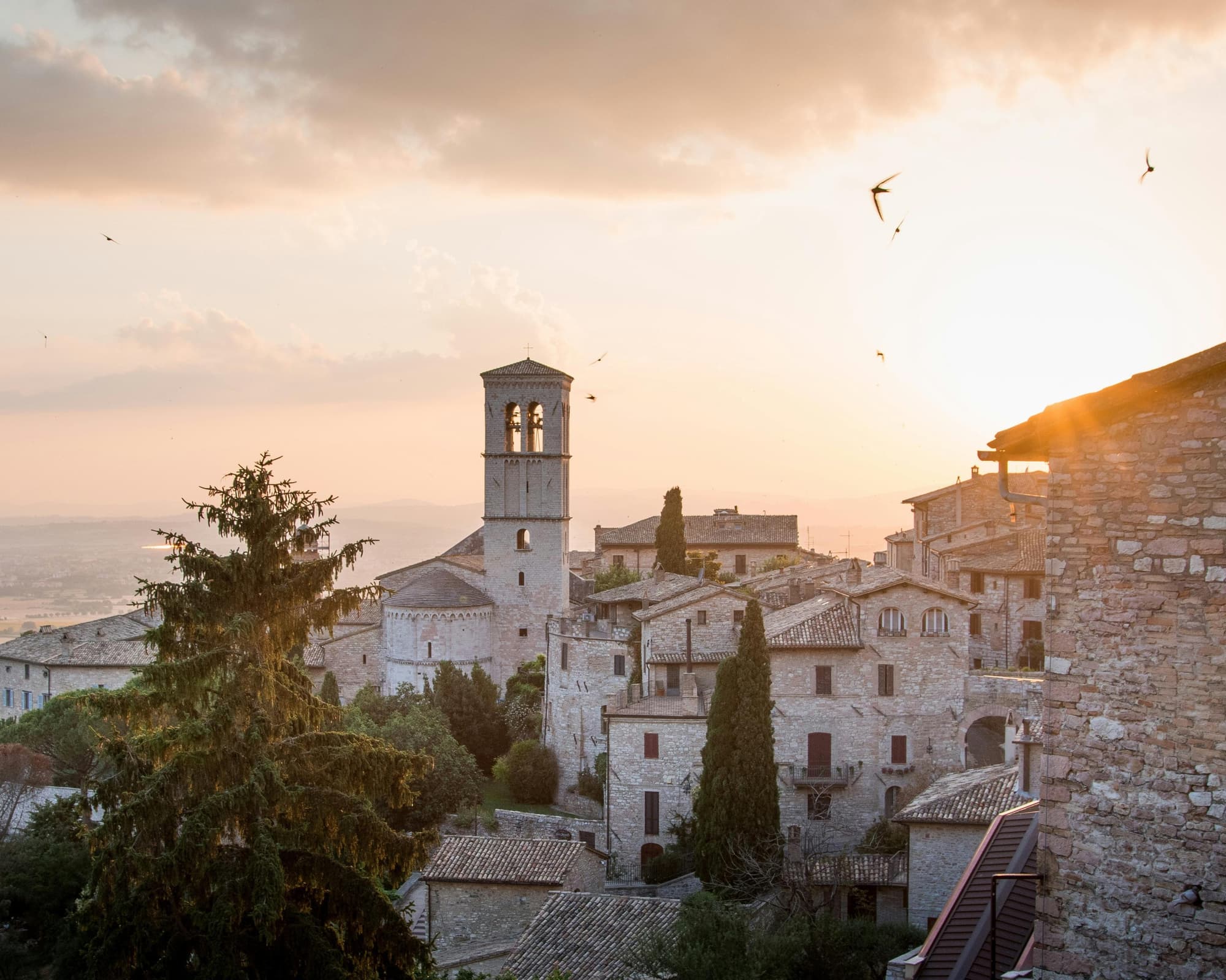 Assis, Italia