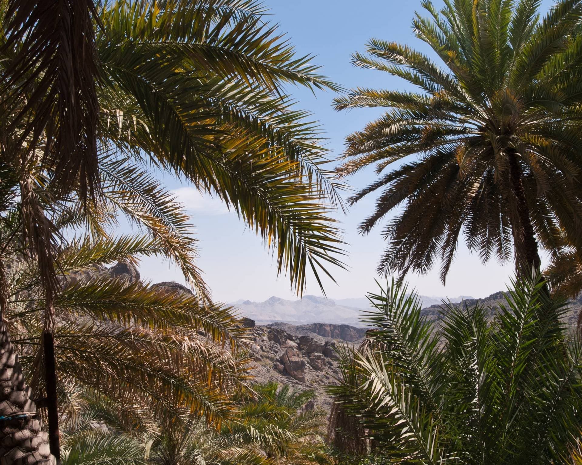 Oman classico