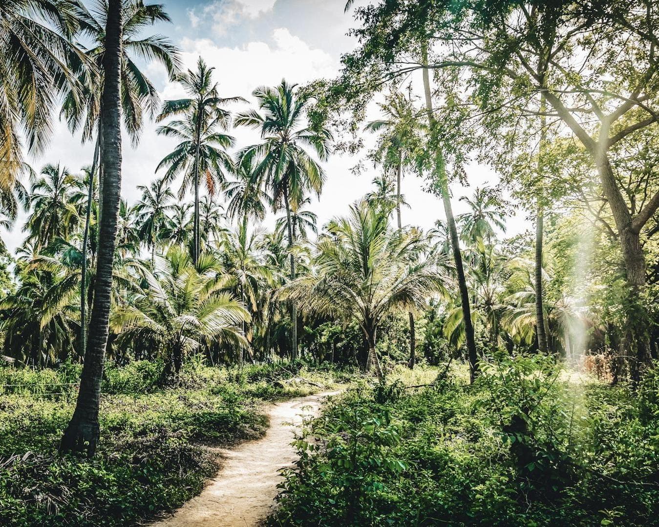 Parc Naturel National de Tayrona, Colombie