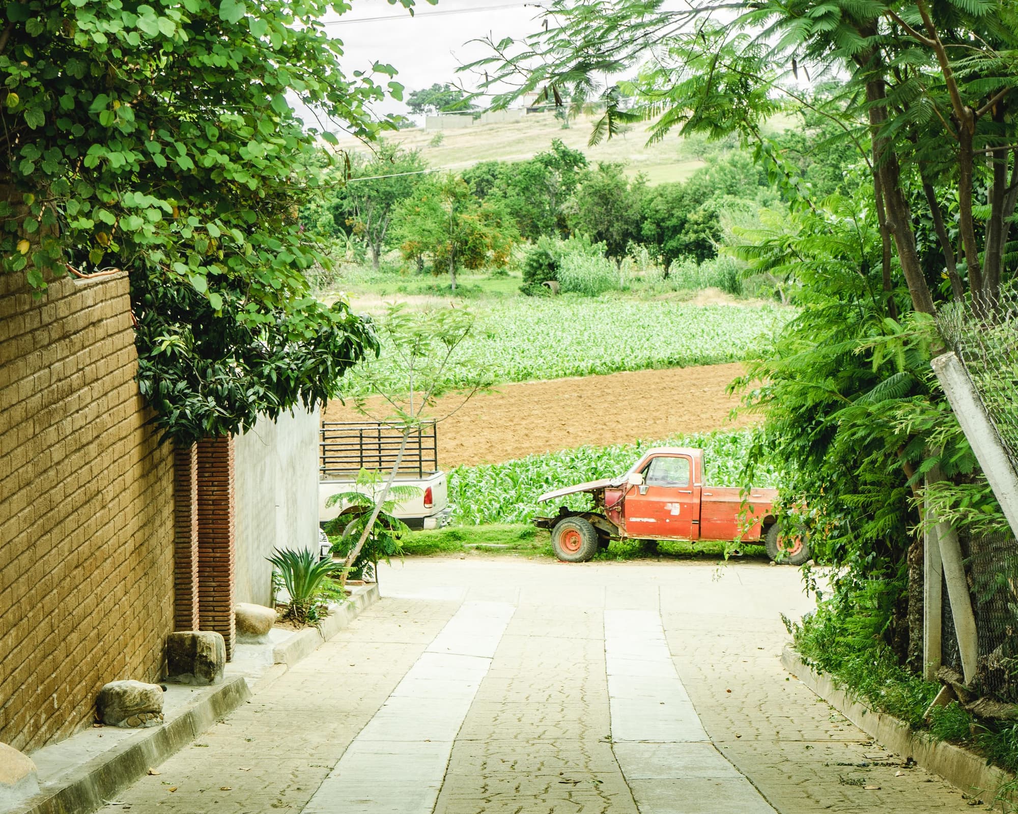 Oaxaca y su fiesta de la Guelaguetza
