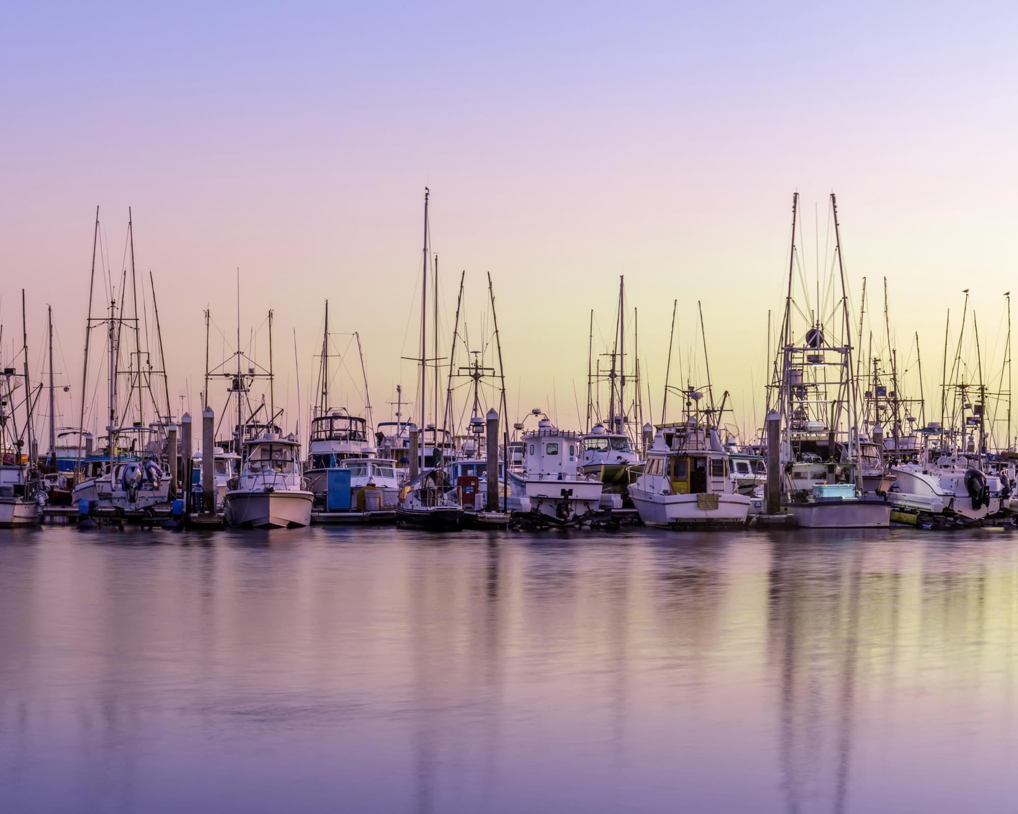 Half Moon Bay CA, United States of America