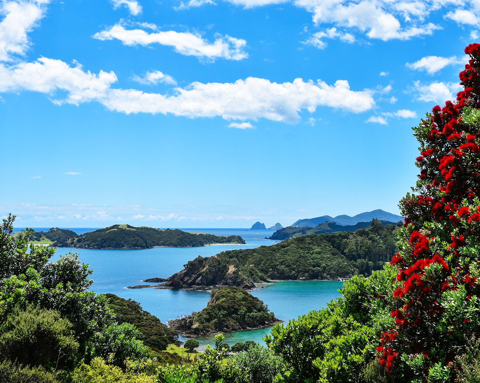 KAKAPO 7 DIAS ISLA NORTE CON BAY OF ISLANDS 2025/2026