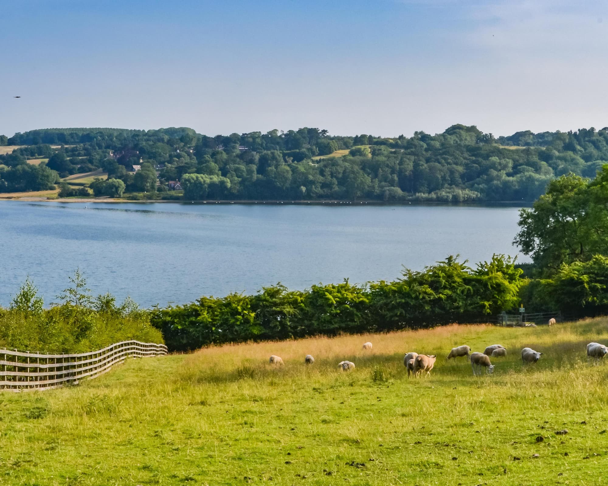 Classic New England - Standard