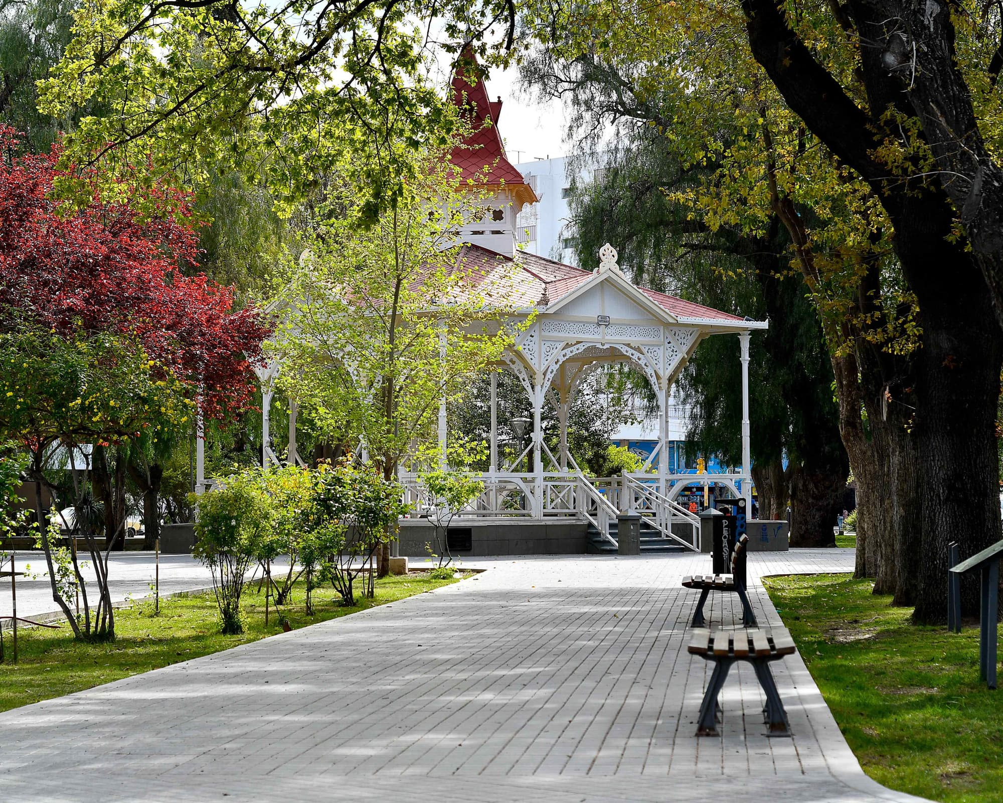 Argentina para Armar y Puerto Madryn