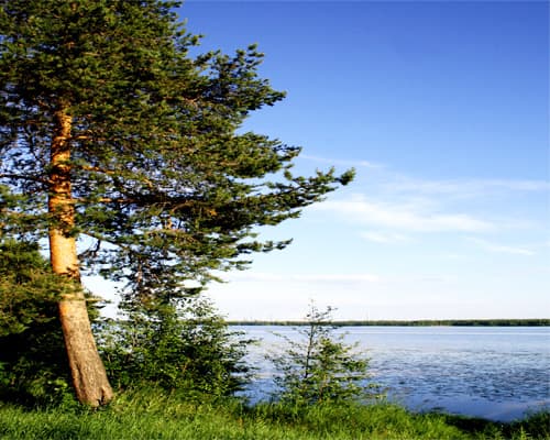 MARAVILLAS DEL ARTICO: MERCADOS NAVIDEÑOS Y AURORAS BOREALES 2026