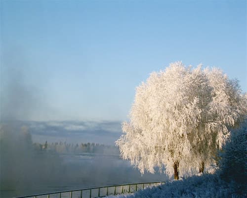 MARAVILLAS DEL ARTICO: MERCADOS NAVIDEÑOS Y AURORAS BOREALES 2026