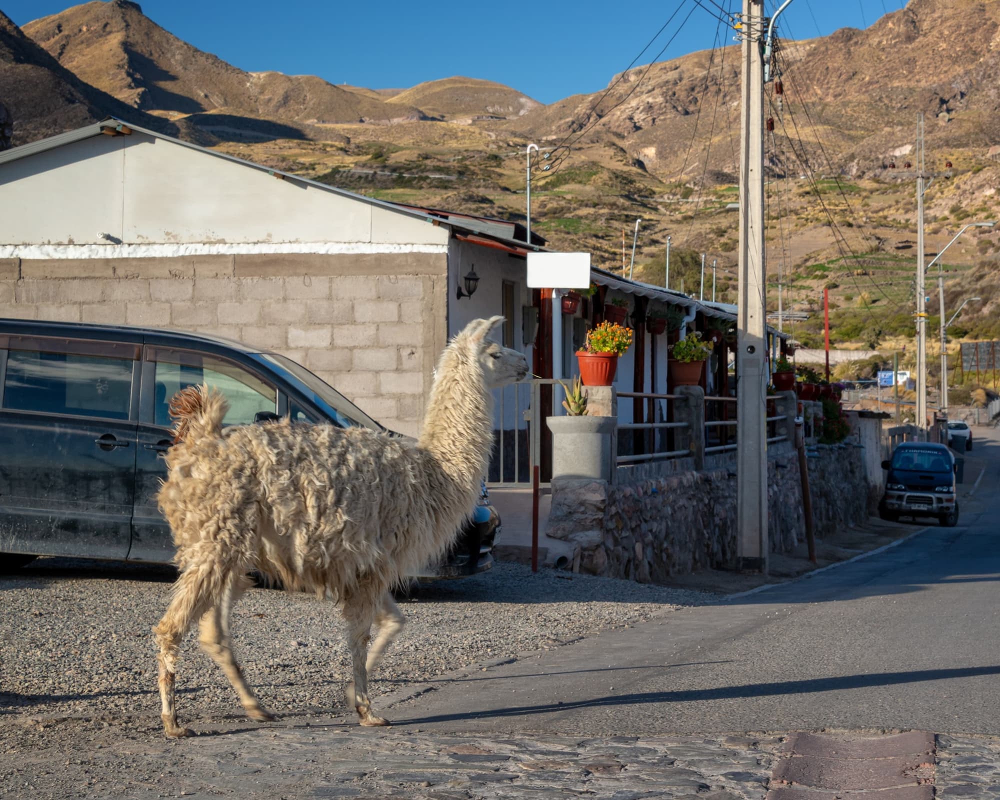 Putre, Chile