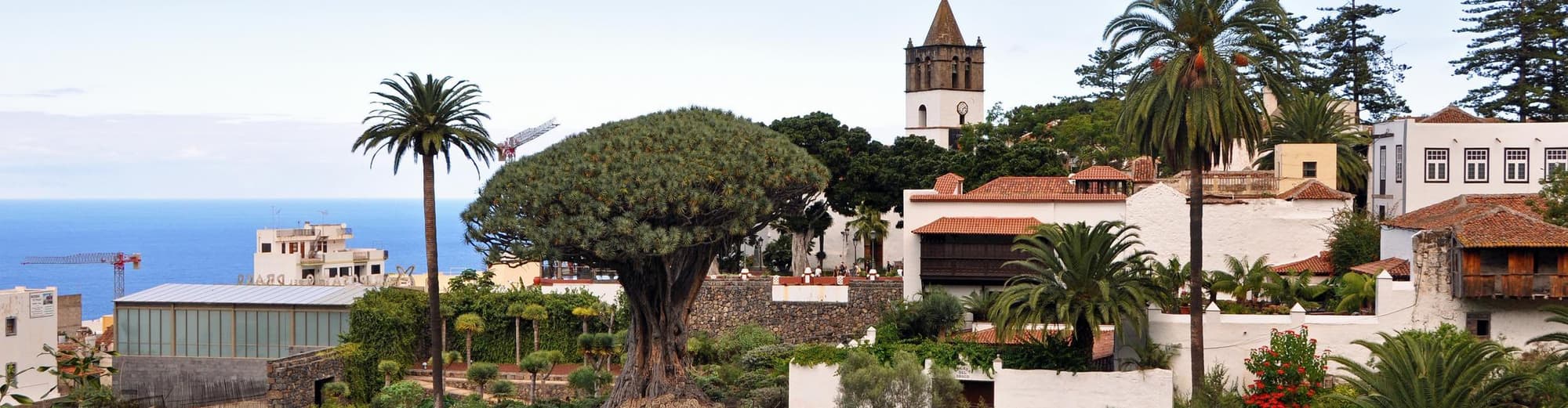Icod de los Vinos, Spanien