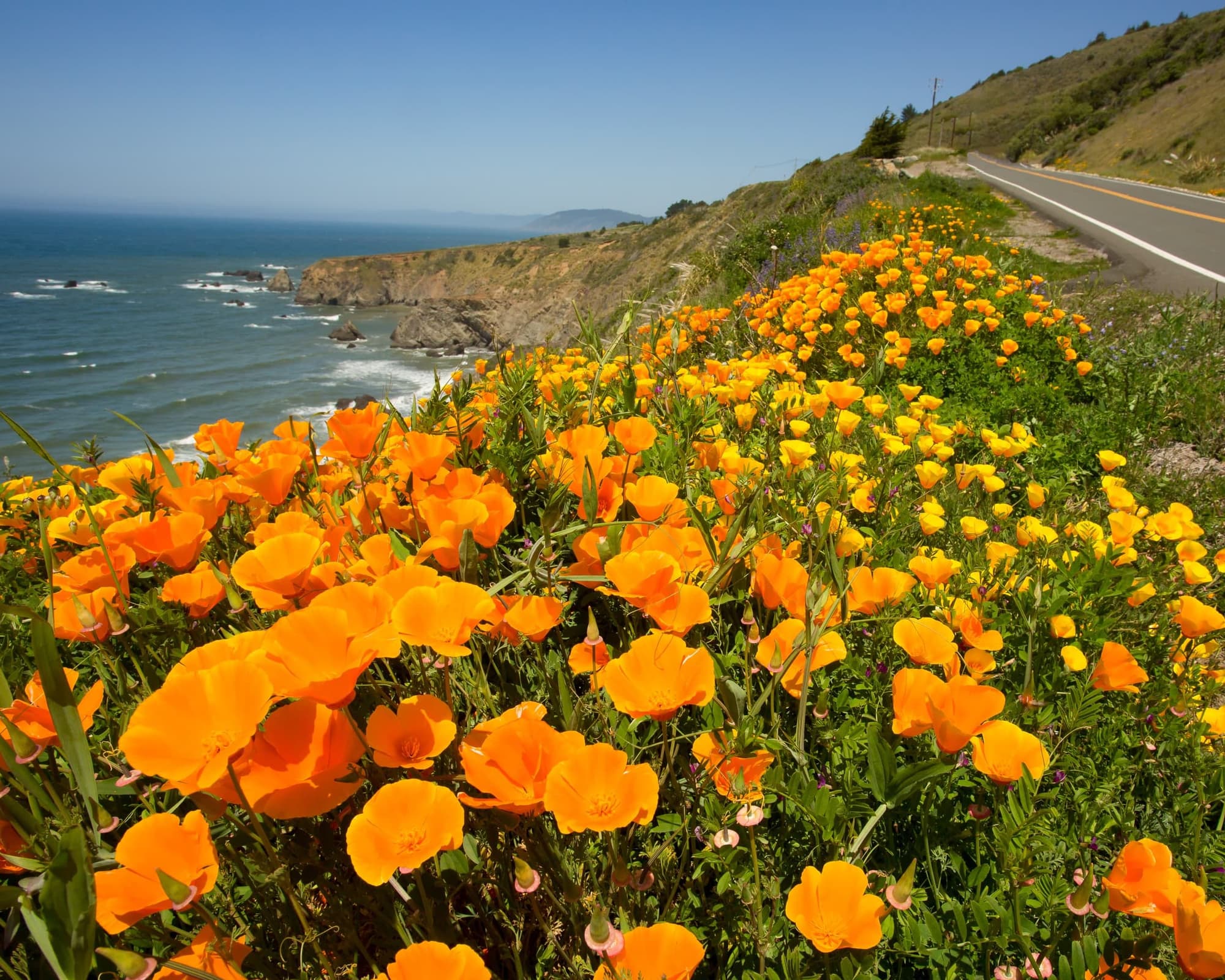 De Seattle a Los Ángeles en Harley-Davidson®