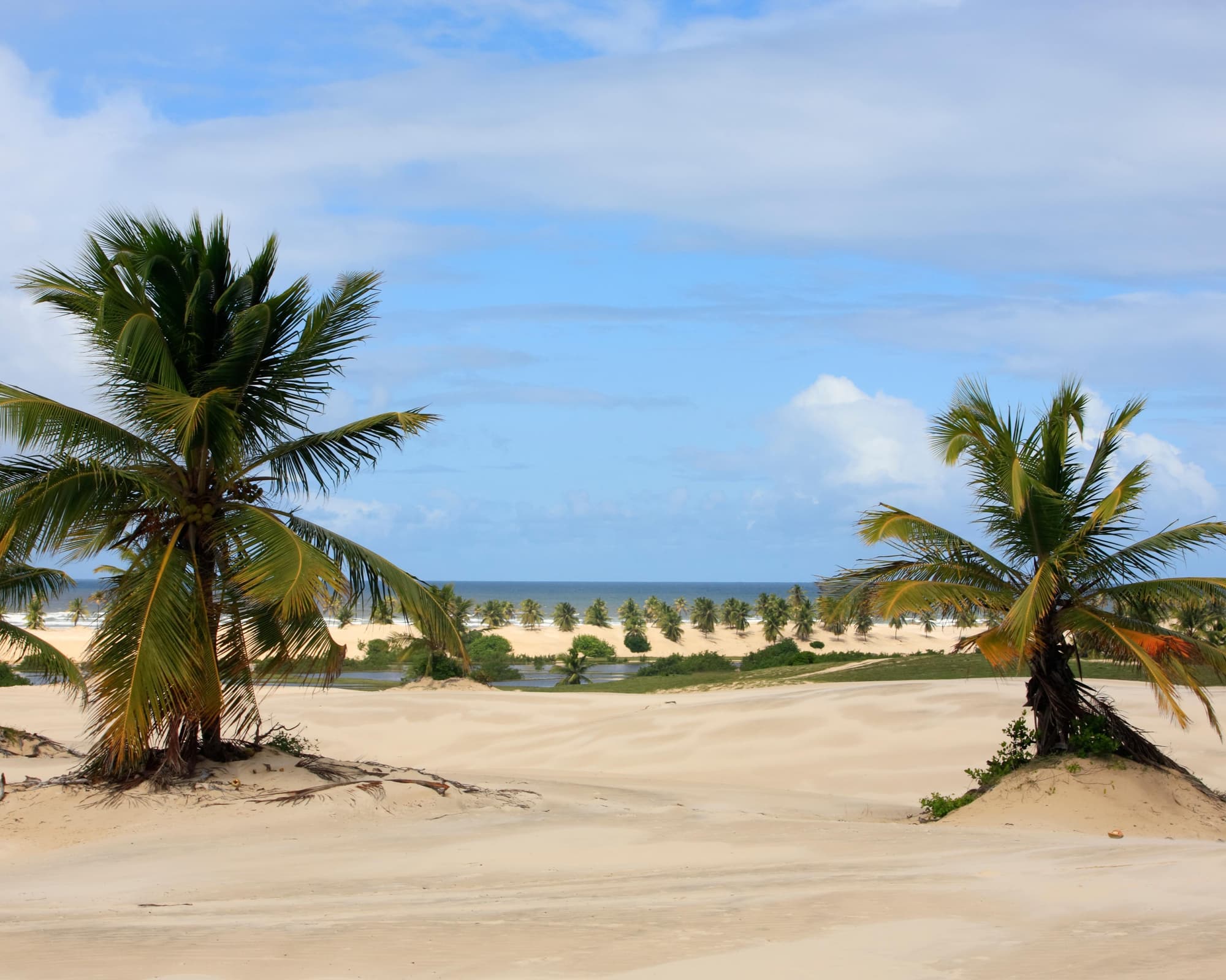 Mangue Seco, Brazil