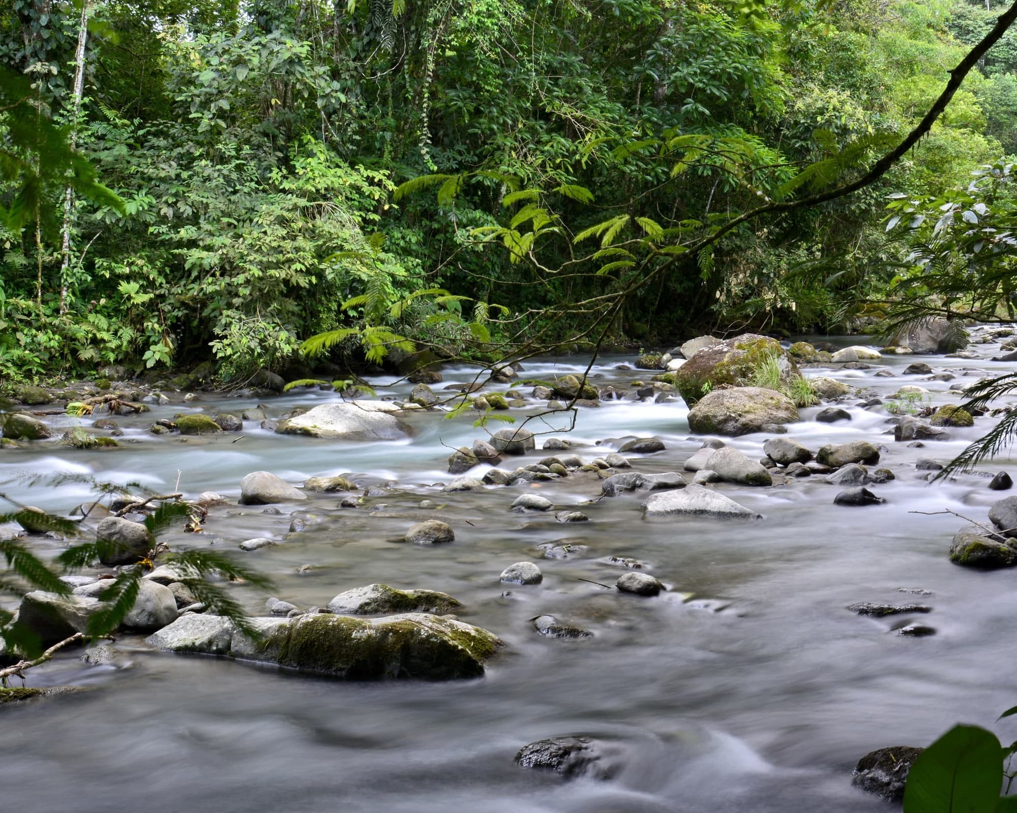 Rio Esquinas, Costa Rica