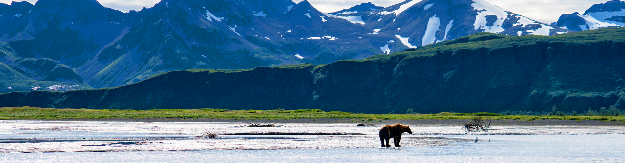 Kodiak AK, 美國