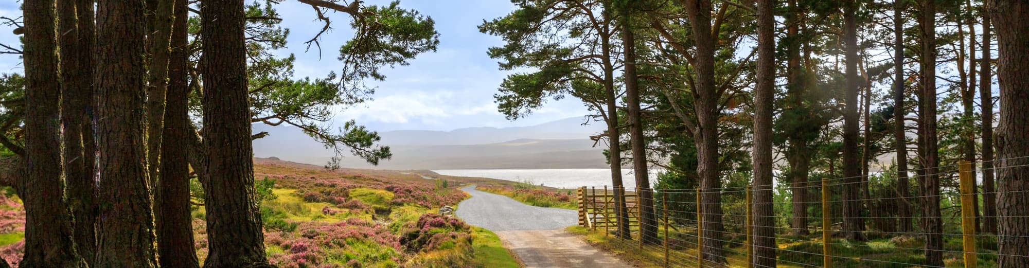 Grantown en Spey, Reino Unido