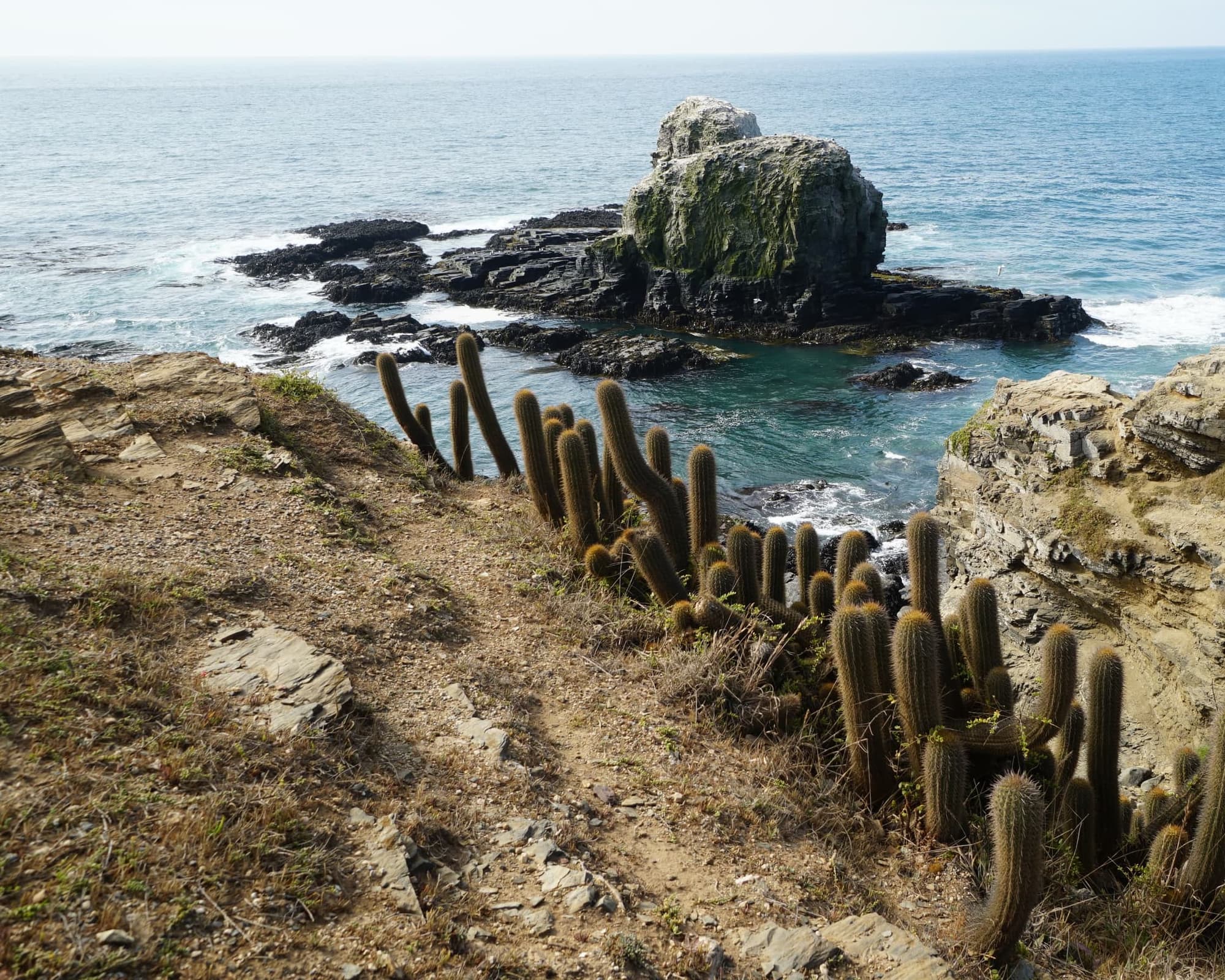 Pichilemu, Chile