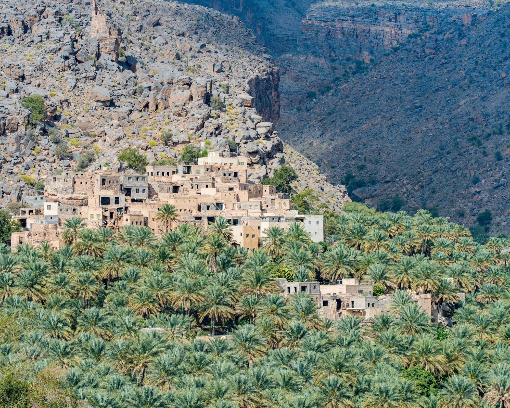 米斯法特·阿布里因, 阿曼