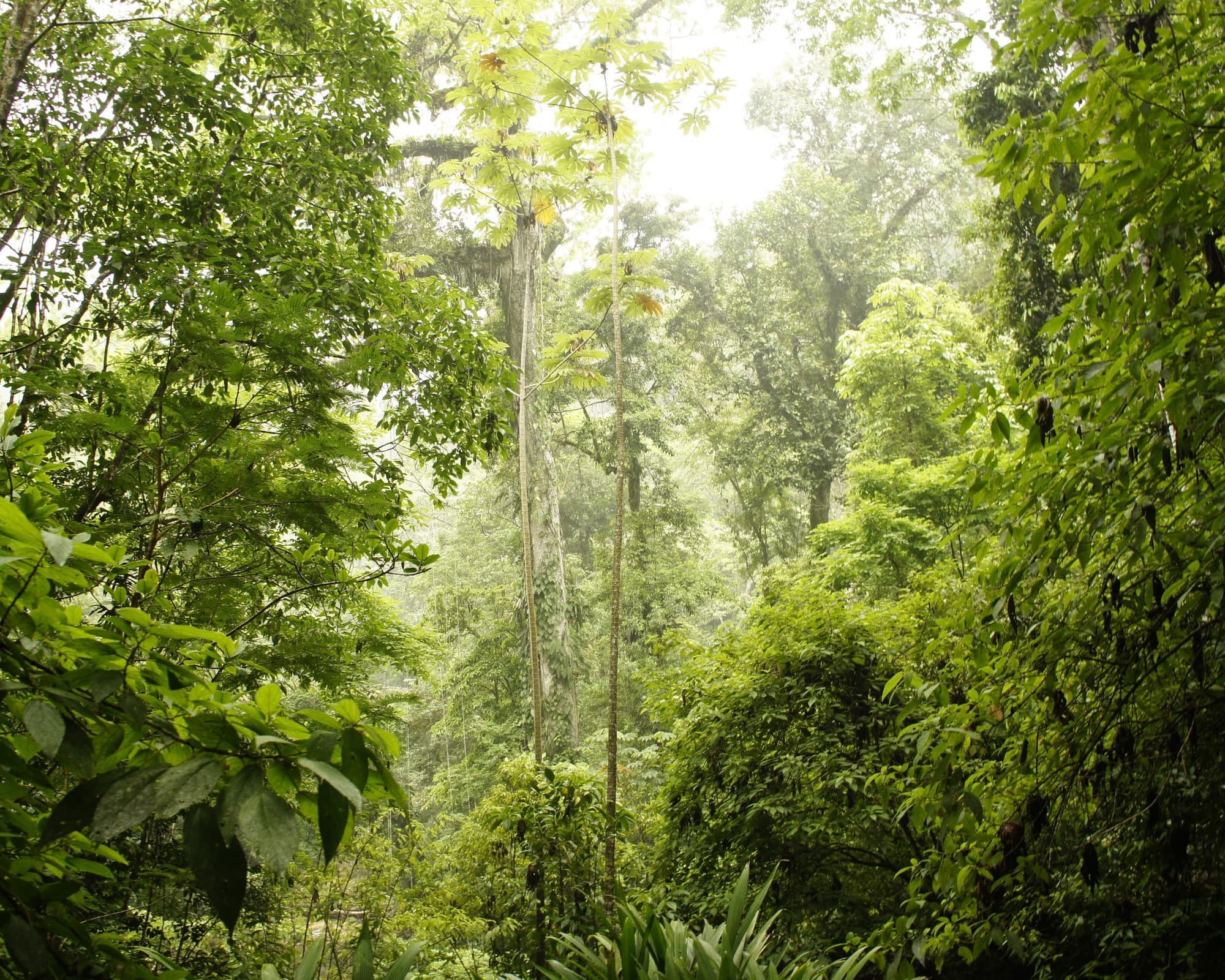 Puerto Barrios, Guatemala