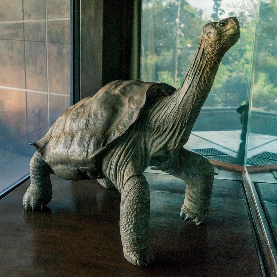 Unbeateable Santa Cruz 4D 3N