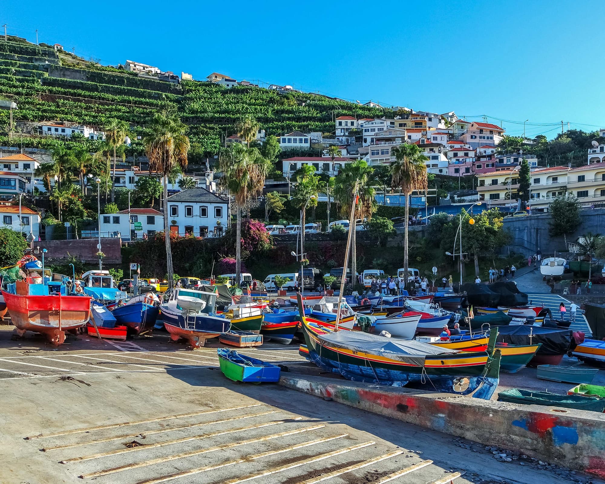 Madère: Une Expérience Complète, de la Montagne à la Mer