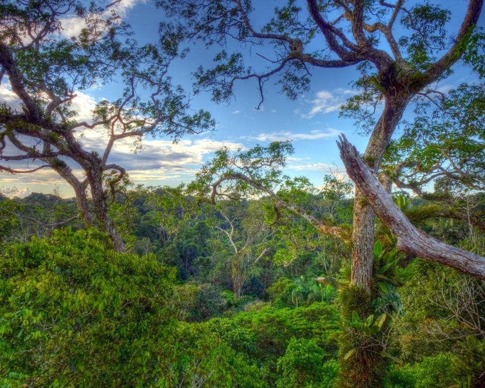 FR Xperience Equateur & Amazonie Profonde & Galapagos 2027