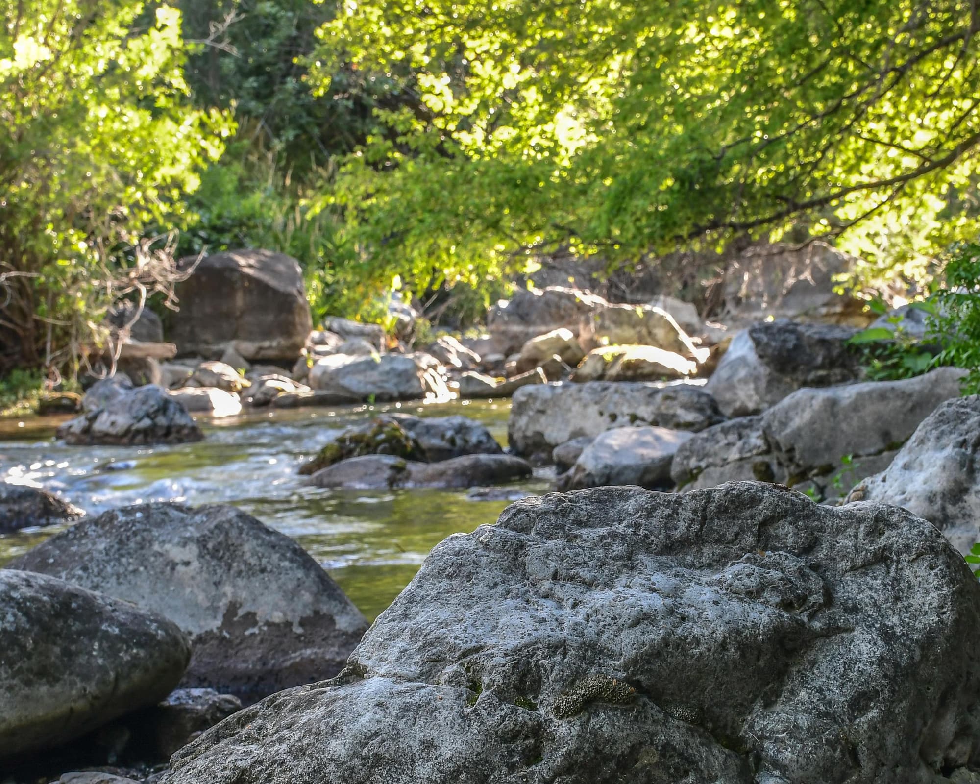 Oeste canadiense en Harley-Davidson®
