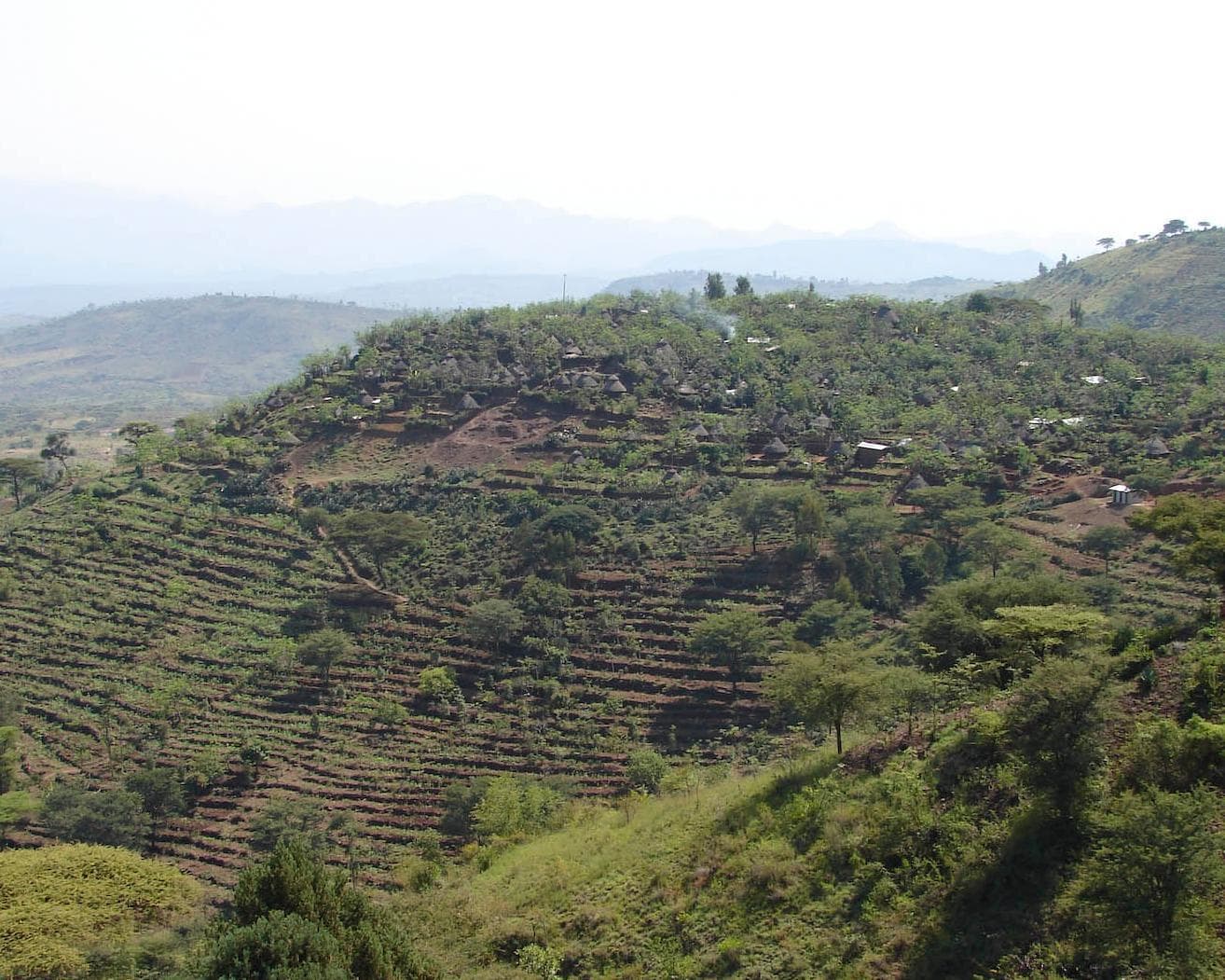 ETIOPIA, ETNIAS DEL VALLE DEL OMO