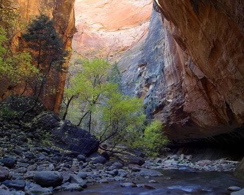 National Park Explorer - Starting in Las Vegas