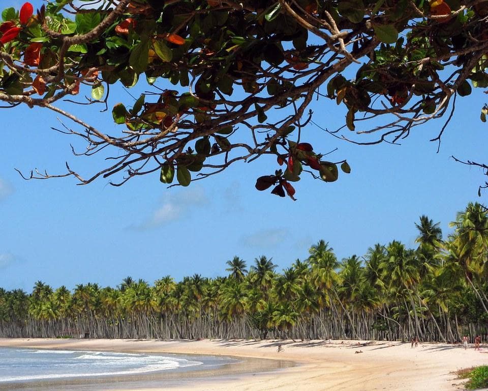 Bahia Cinco Paraísos